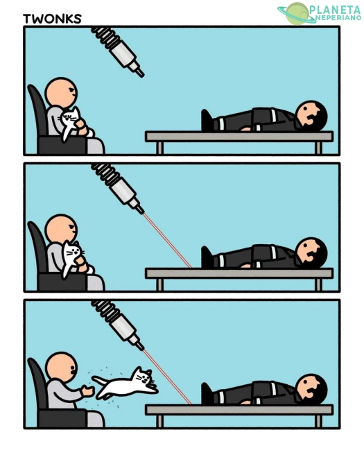 Pinche gato curioso, cuantas vidas van