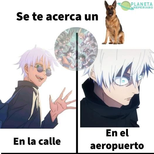 Pinche pulgoso, en el aeropuerto no...