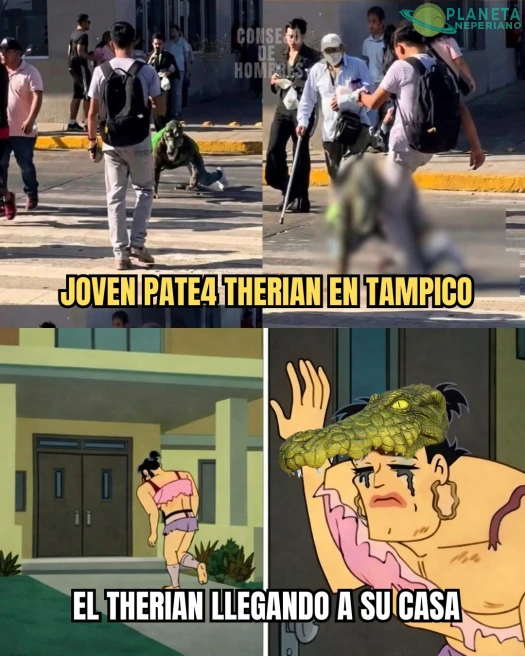 y ese en el mejor día para un therian