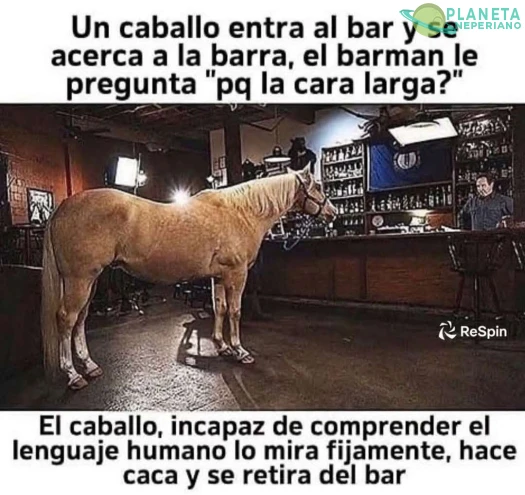 Profundo & reflexivo