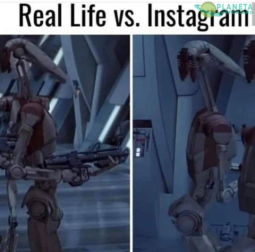 Los b1 deberian ser eternos