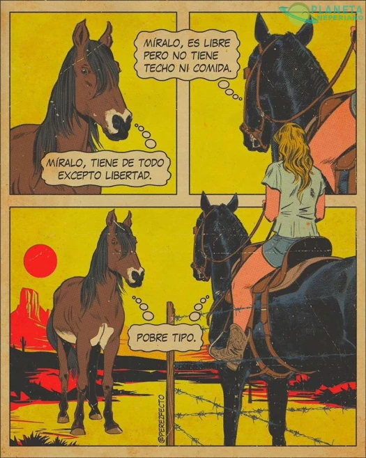 Caballos