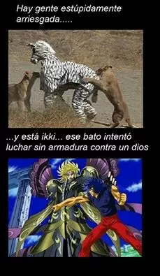 Ikki vive al limite