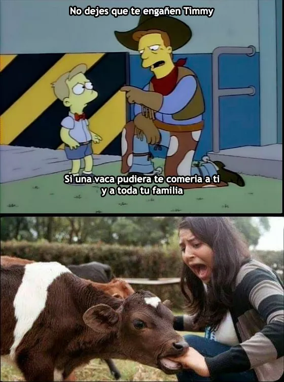 Que la apariencia no te engañe timmy