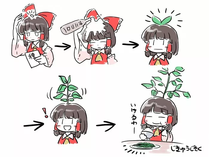 tecnica para obtener una comida saludable