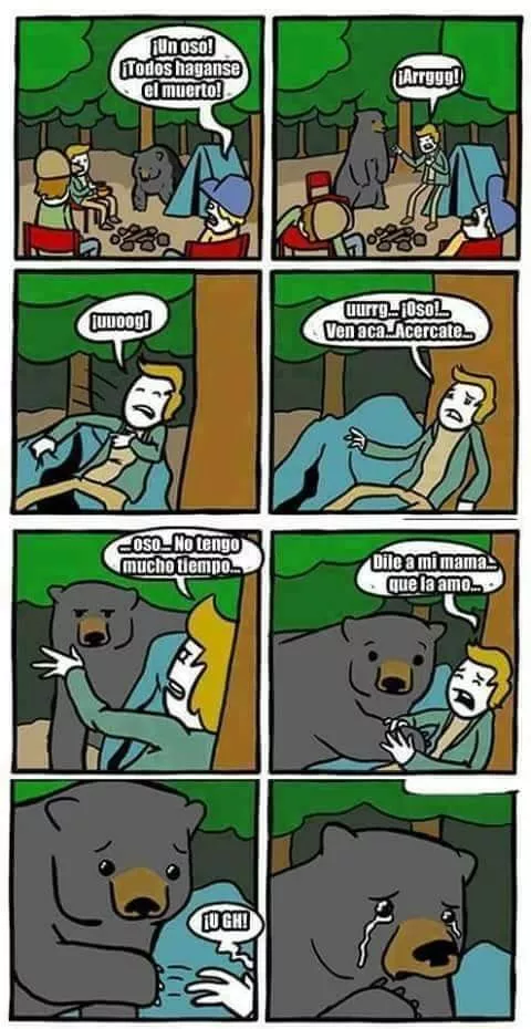 Un oso! :'v