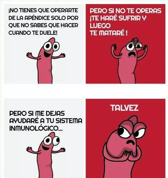 los apendices son muy conflictivos