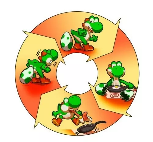 ciclo alimenticio de yoshi