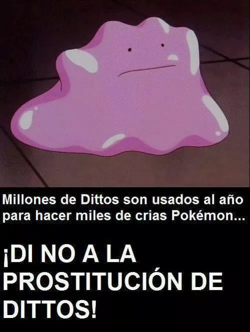 Salvemos a los dittos