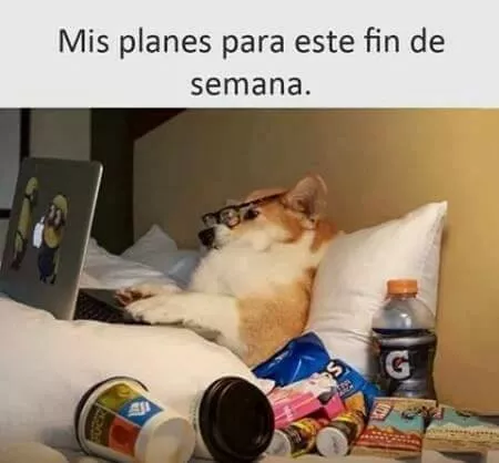 Cuando me preguntan que hago en los findes