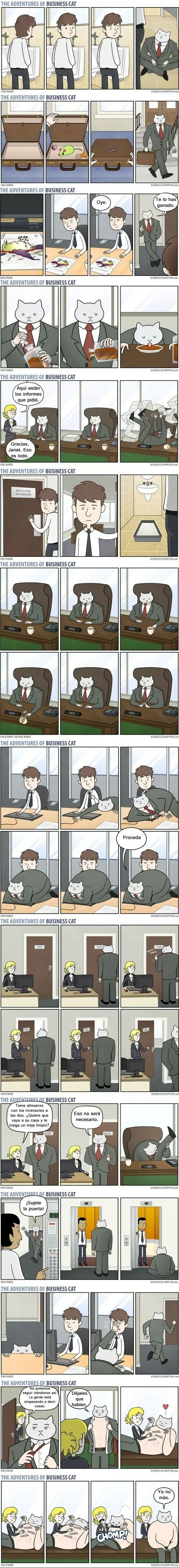 Las aventuras del gato empresario