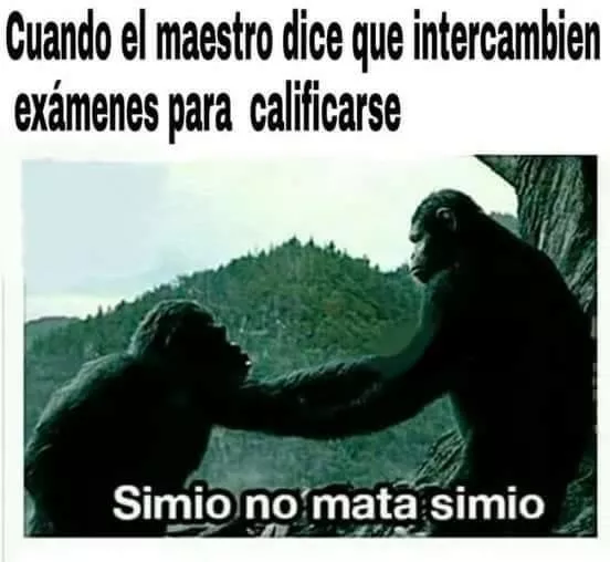 tu no ser simio, tu ser asno