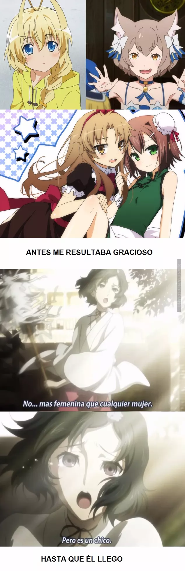 Ahora comprendo el significado de Traifu :v