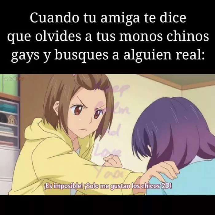 Chicas que les gusta el yaoi...