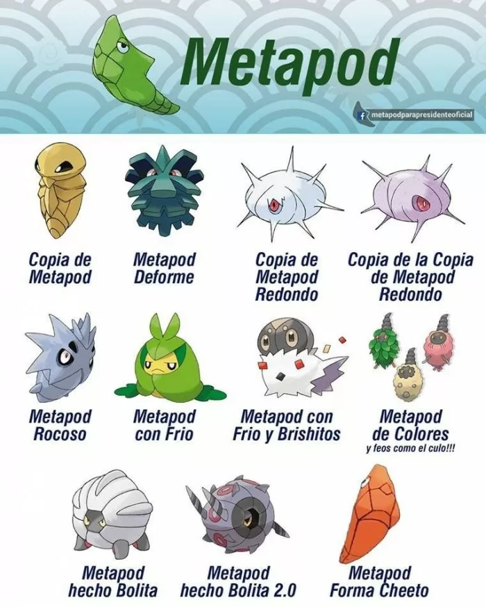 Metapod y sus copias