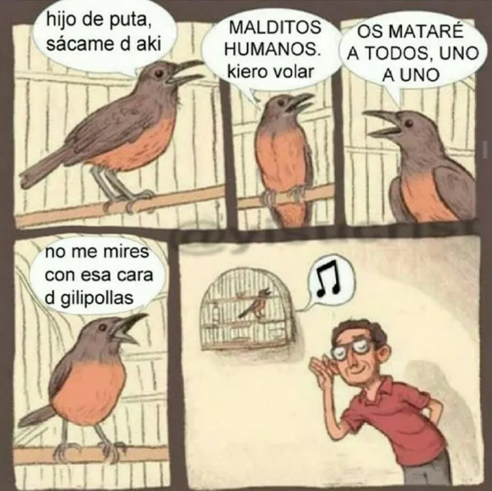 Lindo pajarito