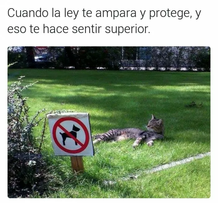 LA LEY SE RESPETA