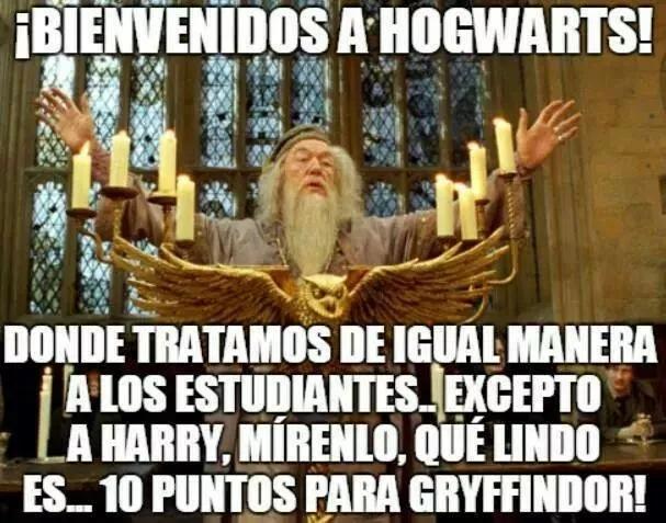 estupido y sexy harry