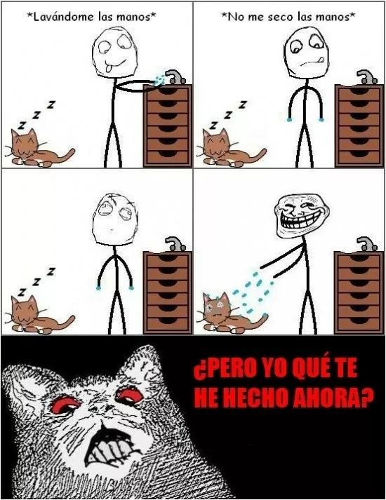 la tortura de los gatos