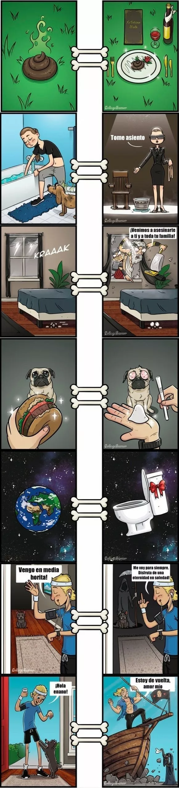 Como ven el mundo los perros