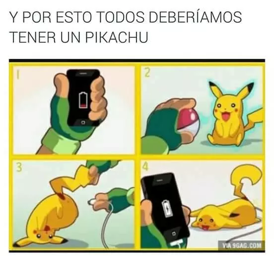 Omfg! maltrato Pokemon! 