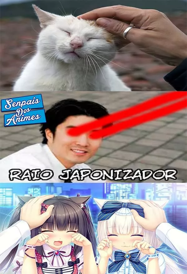 Rayo japonizador 5