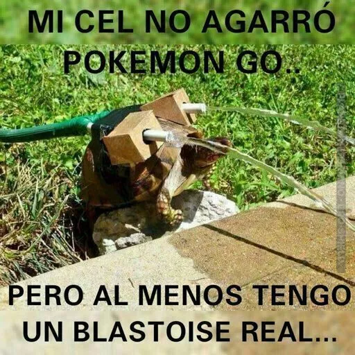 Blastoise Real