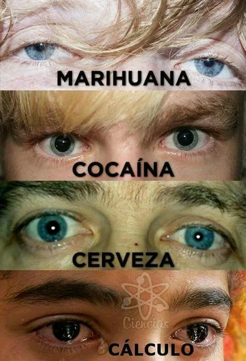 Drogas??? no señores, ¡¡¡calculo!!!