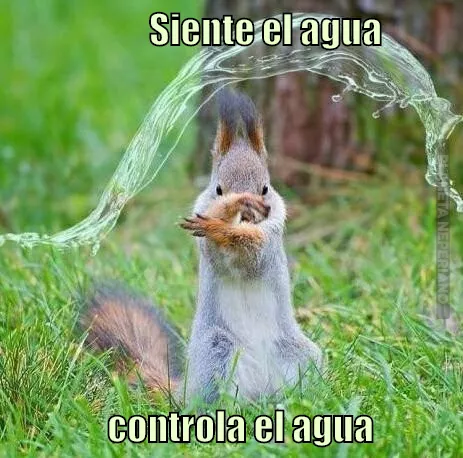 Waterbendering squirrel