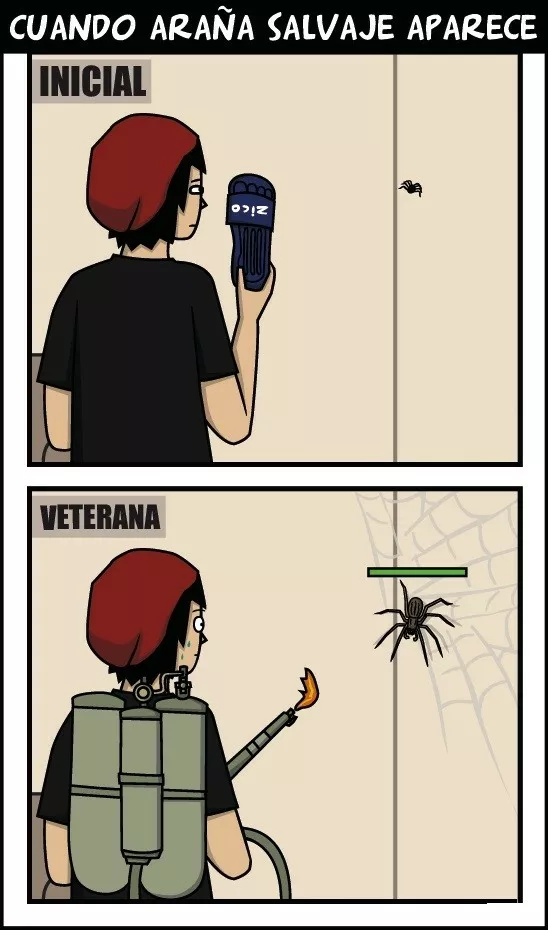 Attack to the spider