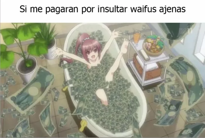 cada uno tiene su waifu preferida