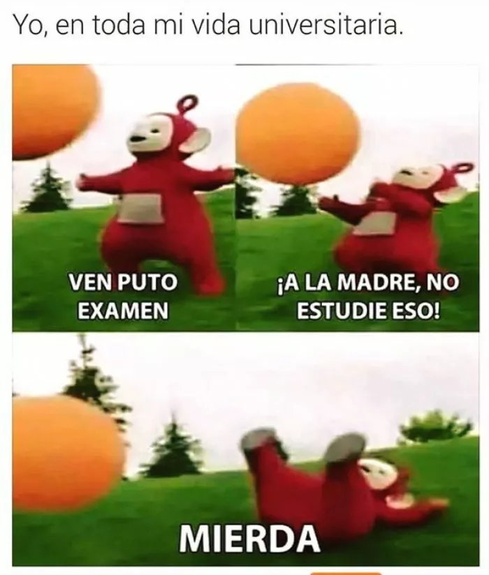 Mi vida universitaria