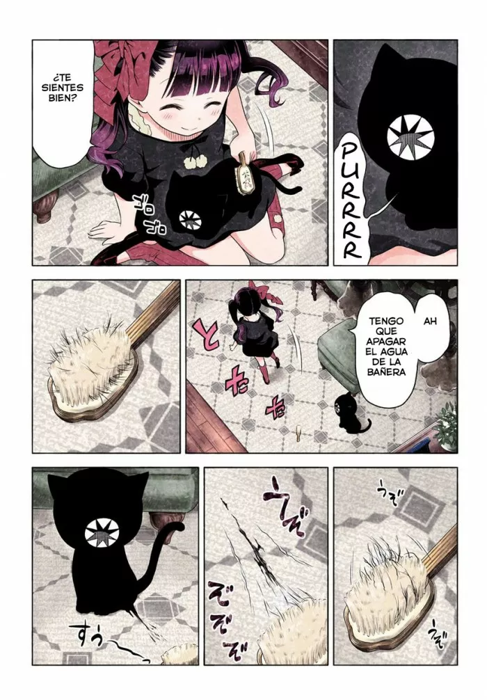 Nunca vi un gato tan tenebrosamente raro D: