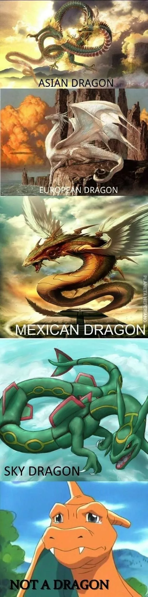 Tipos de dragones