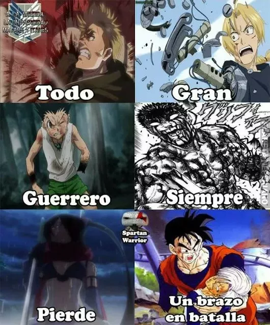 Que es un brazo si peleas por lo que amas