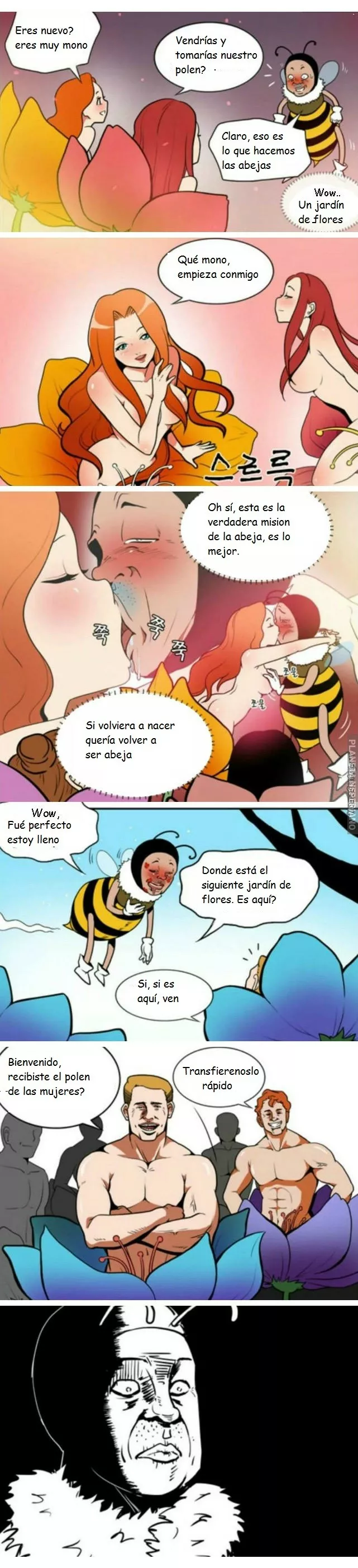 Qué dura es la mision de polinizar las flores