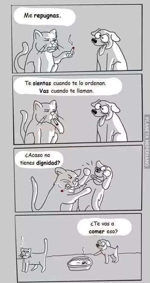 Perros y gatos