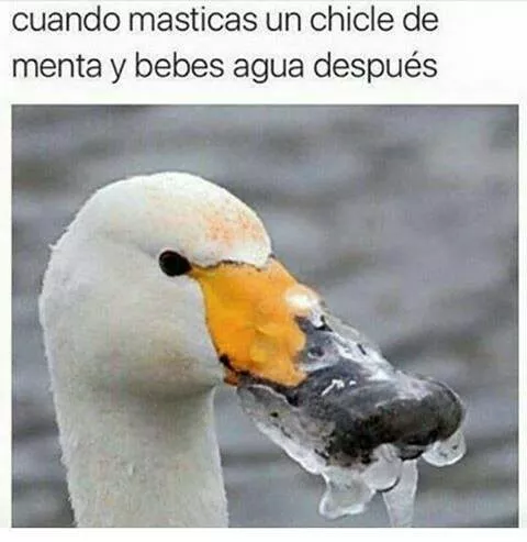 es peor con jugo de naranja