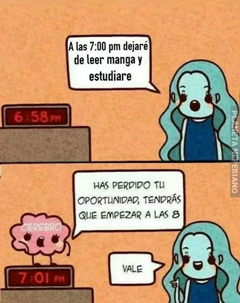 Asi es como funciona nuestro cerebro