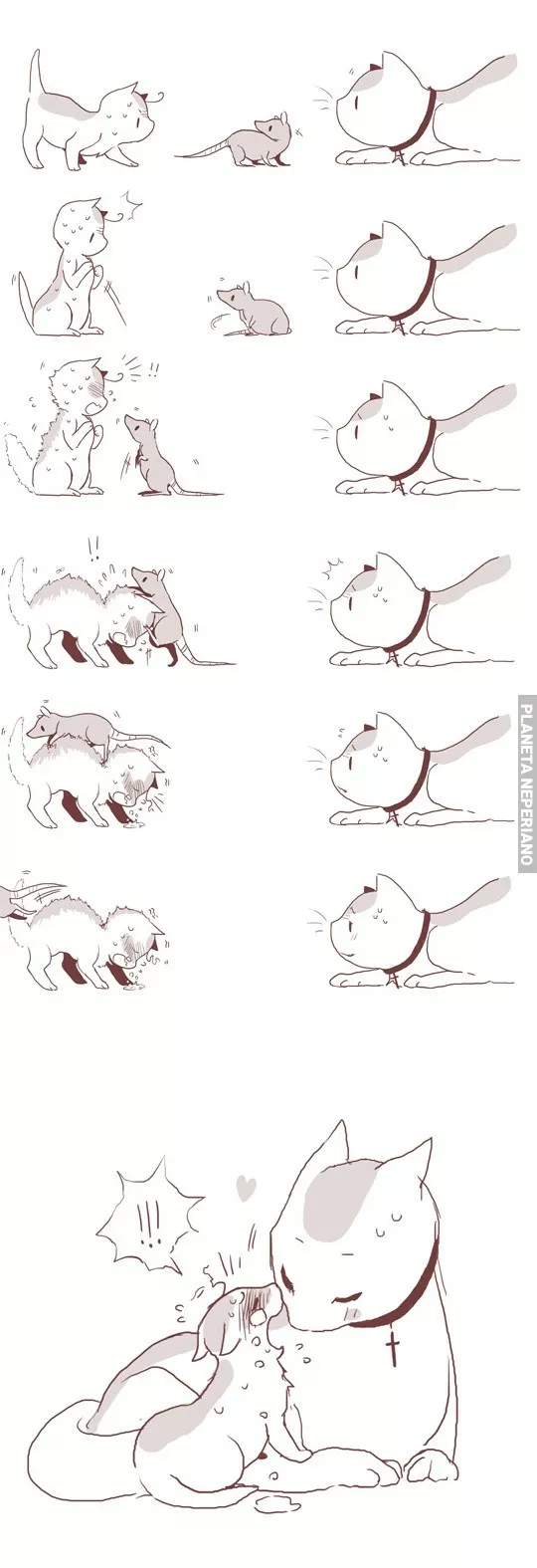 No te preocupes,lo lograrás