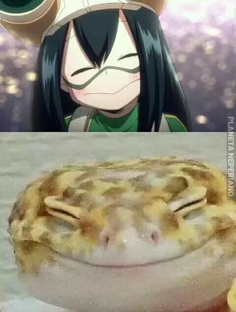 Anime vs realidad