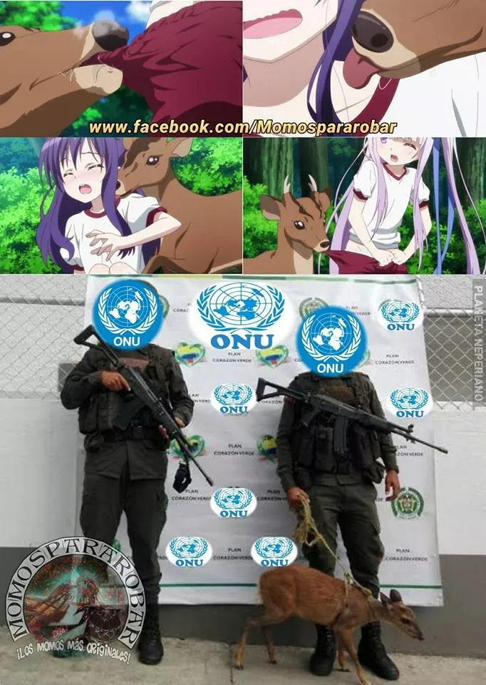 Ni bambi se salva de la ONU