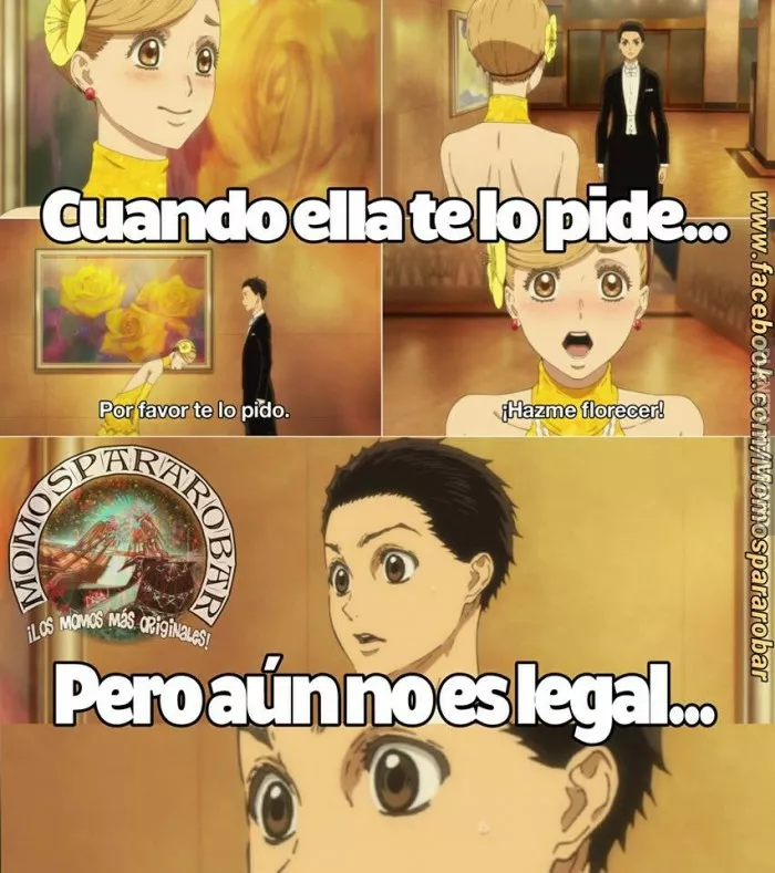 Textualmente eso es lo que dijo...