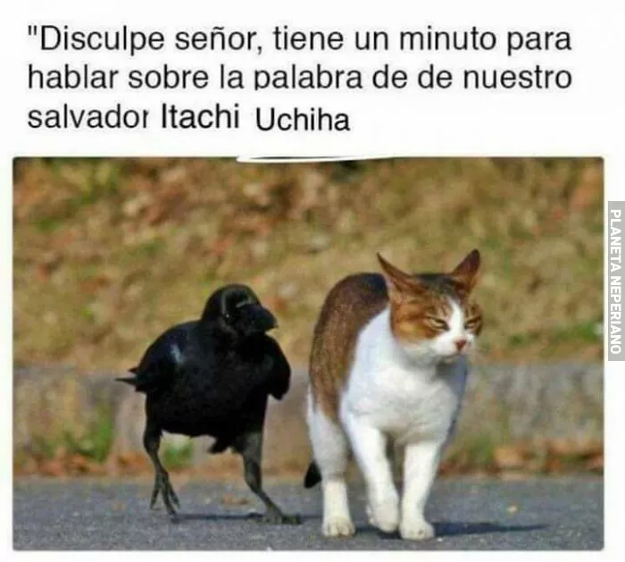 ITACHI Y SUS SEGUIDORES