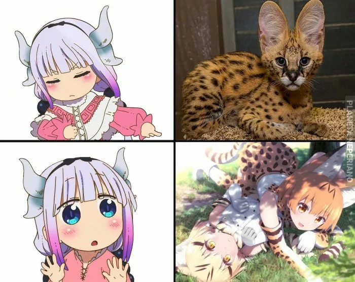 Kanna la prefiere así :3