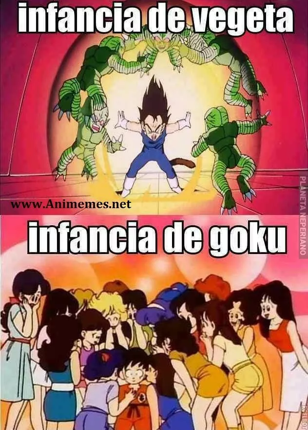 Por eso odia tanto a goku xD