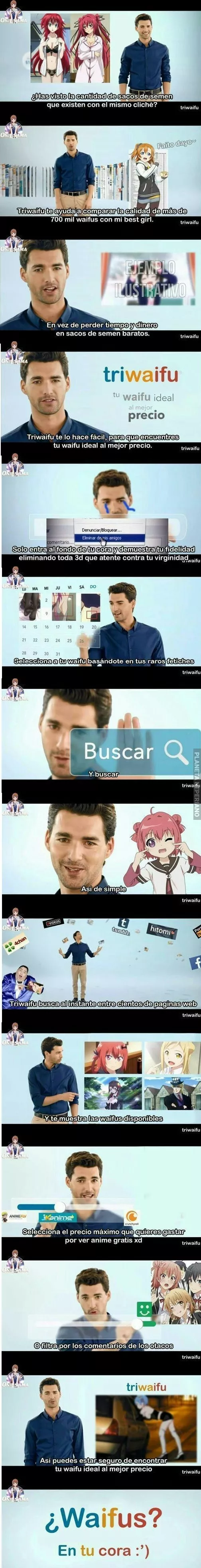 Triwaifu tu waifu ideal al mejor precio