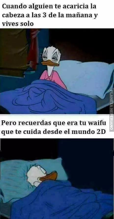 TODO TIENE SENTIDO AHORA