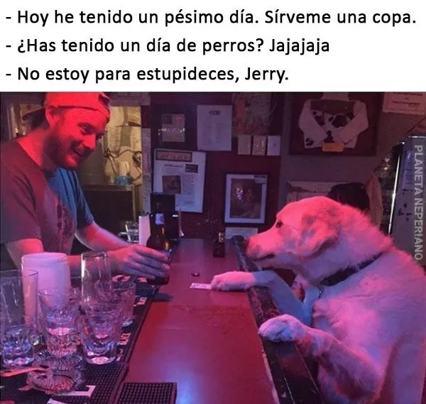 dia de perros xD