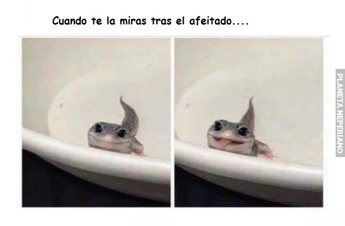 Despues de pasar la cuchilla